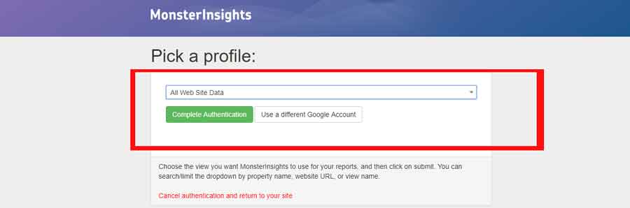 how to add monsterinstight to wordpress